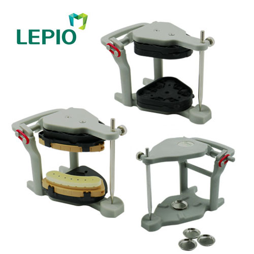 LEPIO 교합기