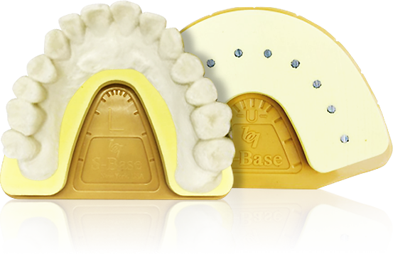 BQ&LEPIO ARTICULATOR